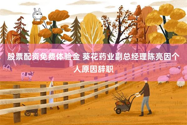 股票配资免费体验金 葵花药业副总经理陈亮因个人原因辞职