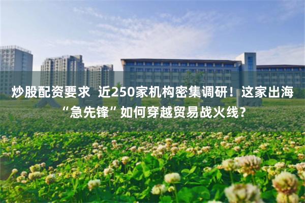 炒股配资要求  近250家机构密集调研！这家出海“急先锋”如何穿越贸易战火线？