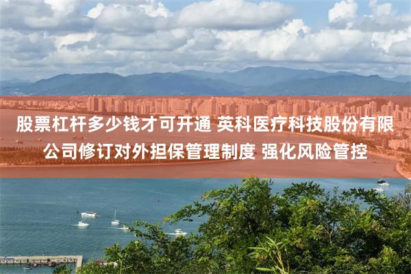 股票杠杆多少钱才可开通 英科医疗科技股份有限公司修订对外担保管理制度 强化风险管控
