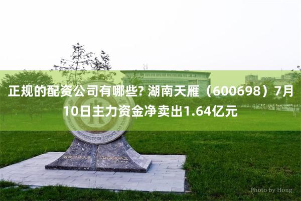 正规的配资公司有哪些? 湖南天雁（600698）7月10日主力资金净卖出1.64亿元