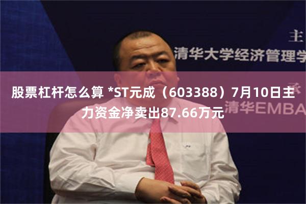 股票杠杆怎么算 *ST元成（603388）7月10日主力资金净卖出87.66万元