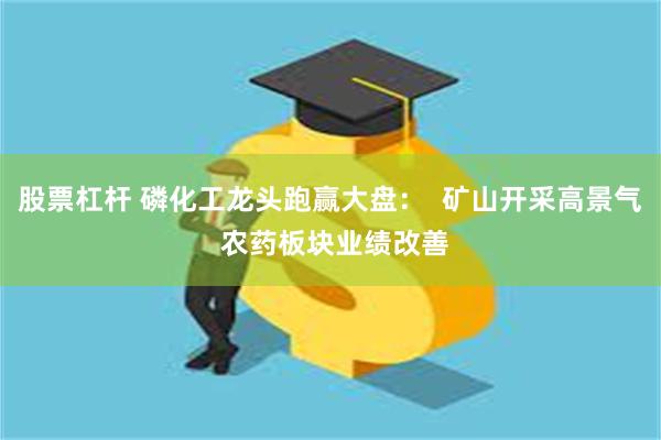 股票杠杆 磷化工龙头跑赢大盘：  矿山开采高景气 农药板块业绩改善