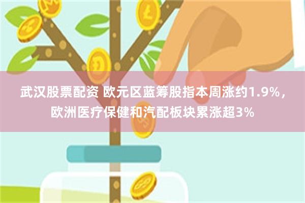 武汉股票配资 欧元区蓝筹股指本周涨约1.9%，欧洲医疗保健和汽配板块累涨超3%