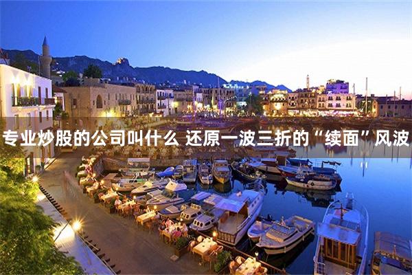 专业炒股的公司叫什么 还原一波三折的“续面”风波