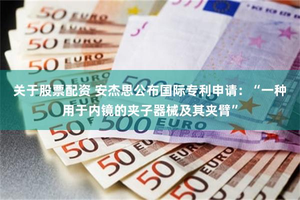 关于股票配资 安杰思公布国际专利申请：“一种用于内镜的夹子器械及其夹臂”