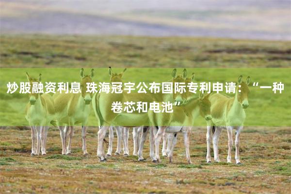 炒股融资利息 珠海冠宇公布国际专利申请：“一种卷芯和电池”