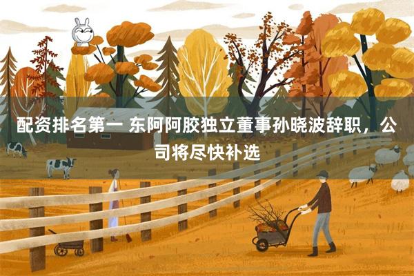 配资排名第一 东阿阿胶独立董事孙晓波辞职，公司将尽快补选