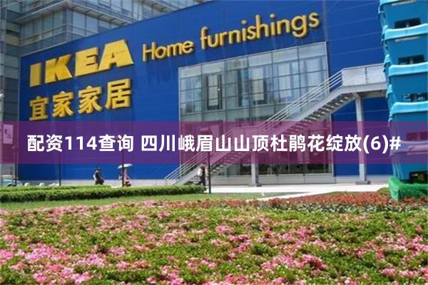 配资114查询 四川峨眉山山顶杜鹃花绽放(6)#