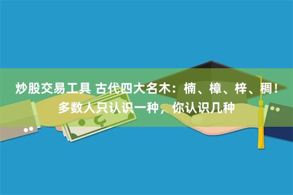 炒股交易工具 古代四大名木：楠、樟、梓、稠！多数人只认识一种，你认识几种