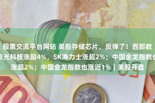 股票交流平台网站 美股存储芯片，反弹了！西部数据、闪迪涨超5%，美光科技涨超4%，SK海力士涨超2%；中国金龙指数也涨近1%｜美股开盘