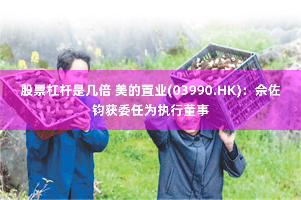 股票杠杆是几倍 美的置业(03990.HK)：佘佐钧获委任为执行董事