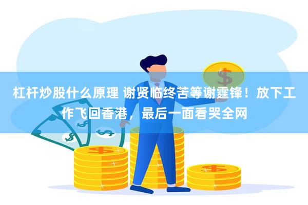 杠杆炒股什么原理 谢贤临终苦等谢霆锋！放下工作飞回香港，最后一面看哭全网