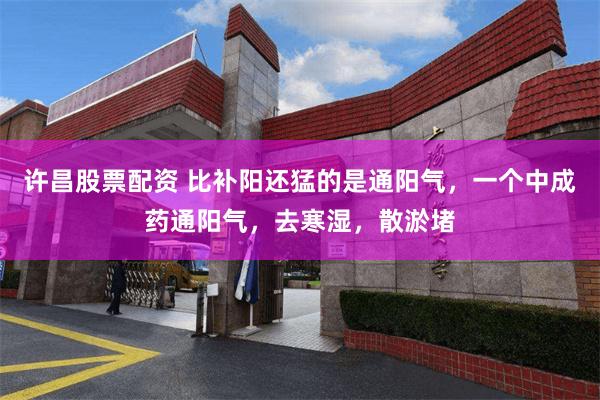 许昌股票配资 比补阳还猛的是通阳气,一个中成药通阳气,去寒湿,散淤堵