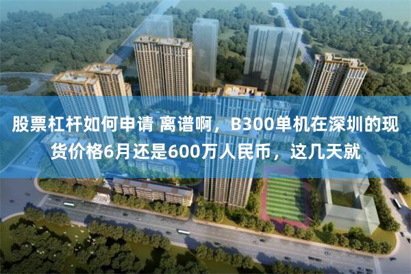 股票杠杆如何申请 离谱啊，B300单机在深圳的现货价格6月还是600万人民币，这几天就