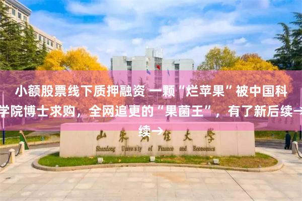 小额股票线下质押融资 一颗“烂苹果”被中国科学院博士求购,全网追更的“果菌王”,有了新后续→