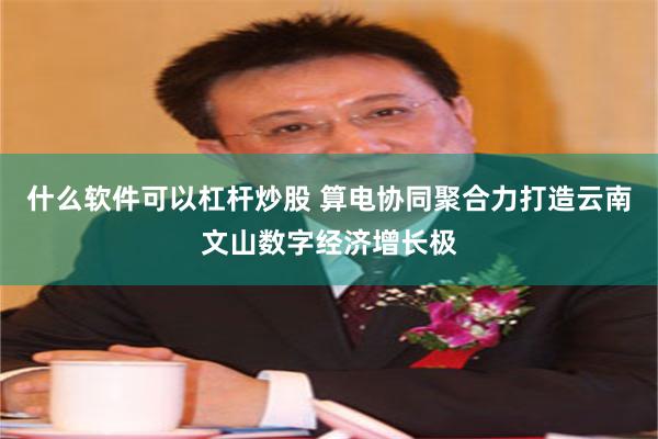 什么软件可以杠杆炒股 算电协同聚合力打造云南文山数字经济增长极
