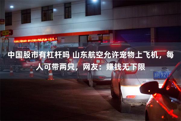 中国股市有杠杆吗 山东航空允许宠物上飞机,每人可带两只,网友:赚钱无下限