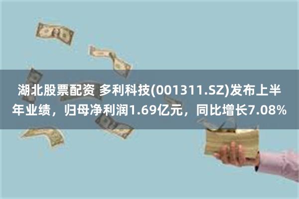 湖北股票配资 多利科技(001311.SZ)发布上半年业绩，归母净利润1.69亿元，同比增长7.08%