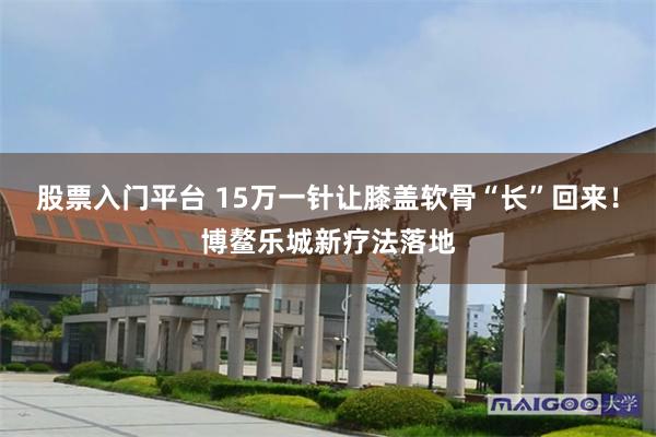 股票入门平台 15万一针让膝盖软骨“长”回来!博鳌乐城新疗法落地