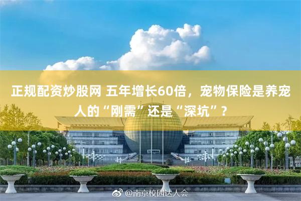 正规配资炒股网 五年增长60倍，宠物保险是养宠人的“刚需”还是“深坑”？
