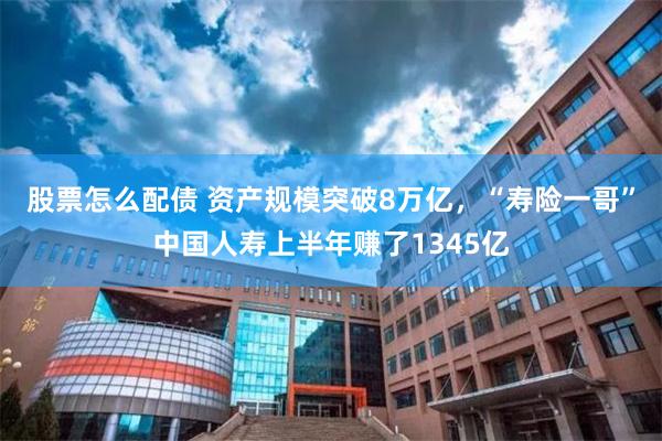 股票怎么配债 资产规模突破8万亿，“寿险一哥”中国人寿上半年赚了1345亿