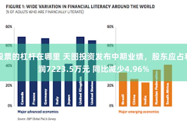 股票的杠杆在哪里 天图投资发布中期业绩，股东应占利润7223.5万元 同比减少4.96%