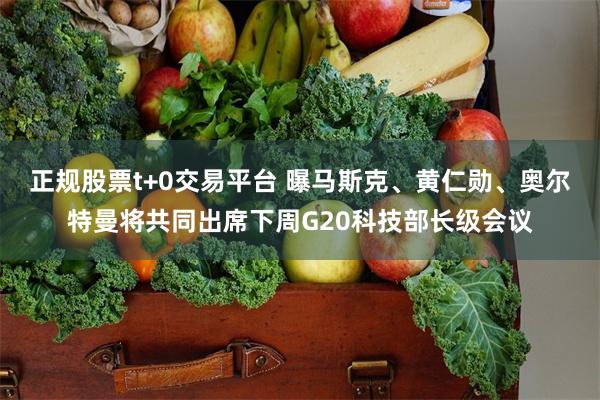 正规股票t+0交易平台 曝马斯克、黄仁勋、奥尔特曼将共同出席下周G20科技部长级会议