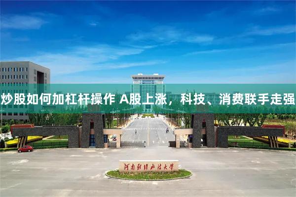 炒股如何加杠杆操作 A股上涨，科技、消费联手走强