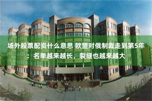 场外股票配资什么意思 欧盟对俄制裁走到第5年：名单越来越长，裂缝也越来越大