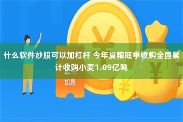 什么软件炒股可以加杠杆 今年夏粮旺季收购全国累计收购小麦1.09亿吨
