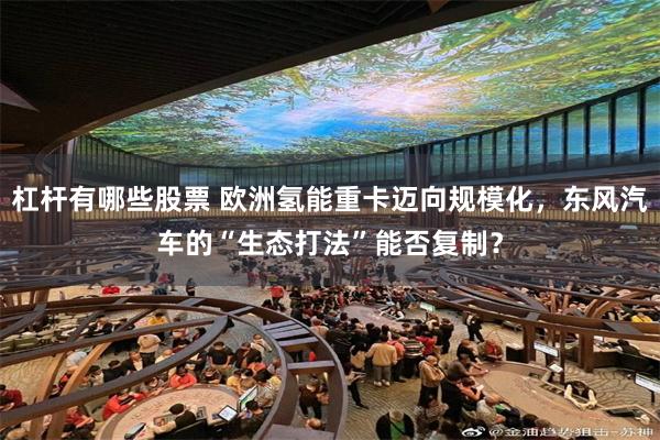 杠杆有哪些股票 欧洲氢能重卡迈向规模化，东风汽车的“生态打法”能否复制？